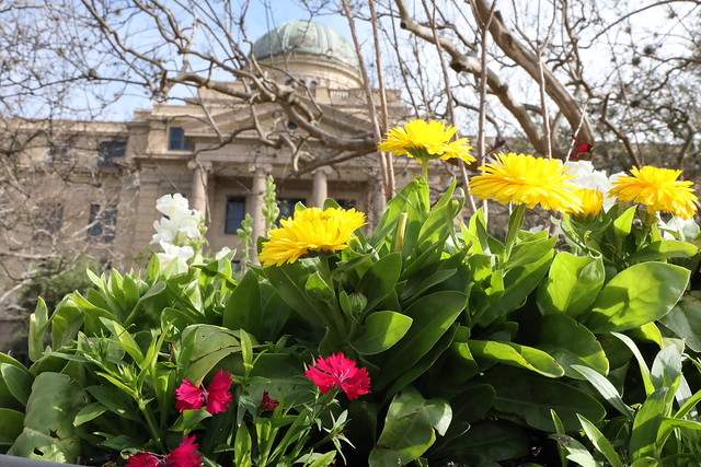 Academic building with flowers